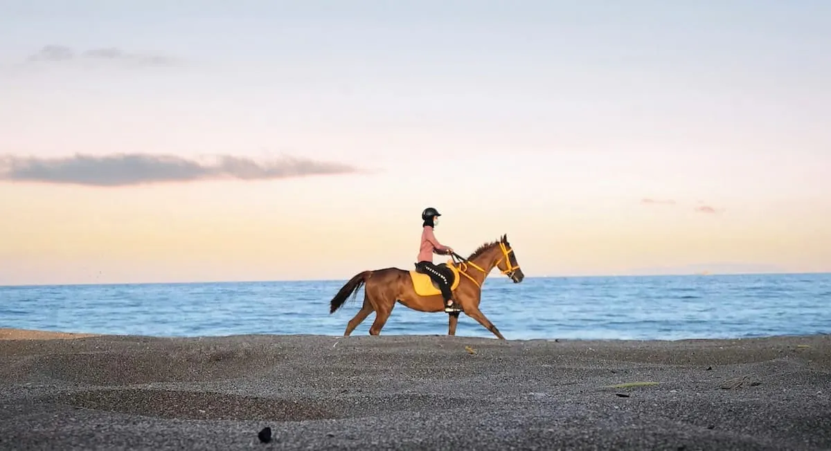 Horse Riding on Dibba Beach